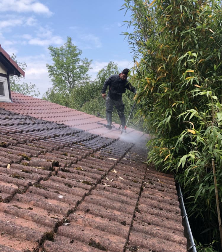 Démoussage de toiture dans l'Essonne