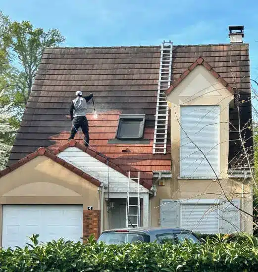 Nettoyage & démoussage de Toiture dans le 91 avec la Sarl Neves