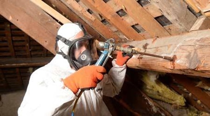 traitement charpente essonne neves sarl